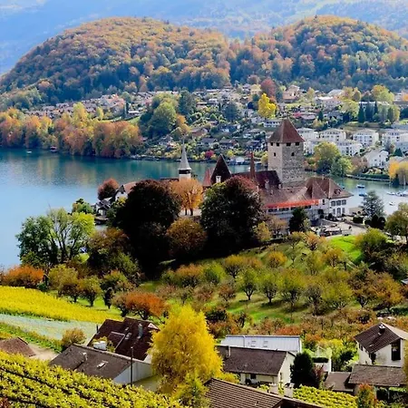 Lakeview In Beautiful Appartement