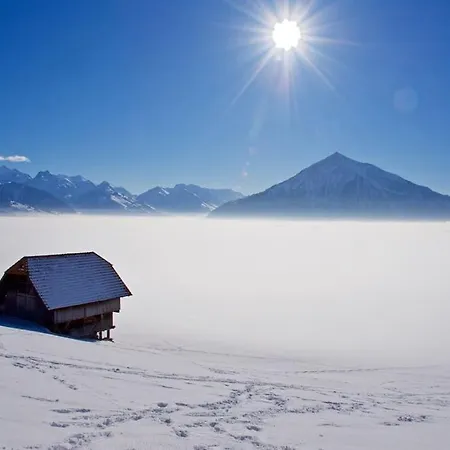 Lakeview In Beautiful Appartement *