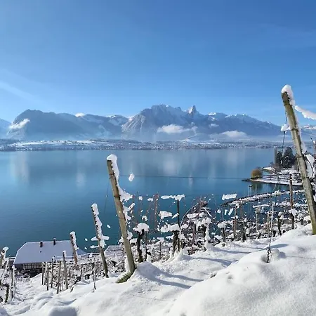 Lakeview In Beautiful Appartement