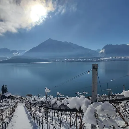 Lakeview In Beautiful Appartement